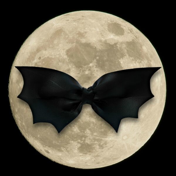 a bat on the moon