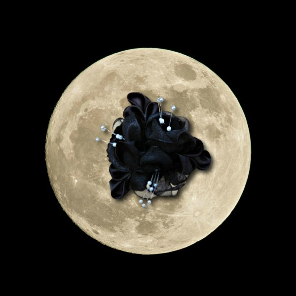 black flower on the moon