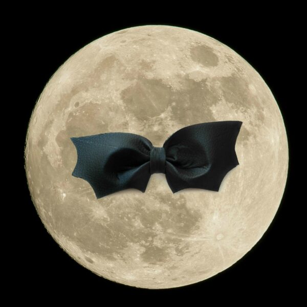 small bat on the moon