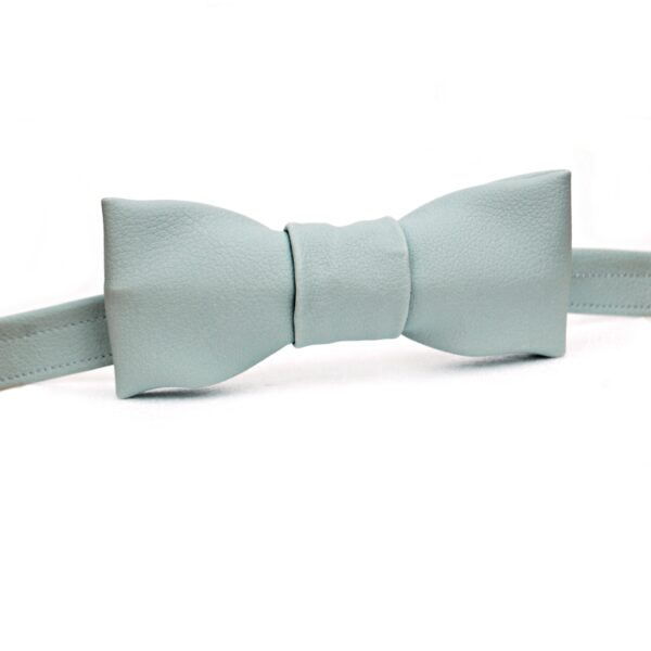 gray bowtie