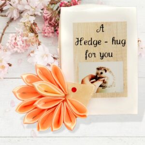 Cheer up Box Hedge Hug For You In A Box, Cute Hedgehog Gifts, Miss You Gift, Long Distance Mother’s Day Gifts, Thinking of You